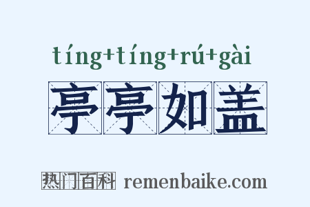 亭亭如盖是什么意思的图片